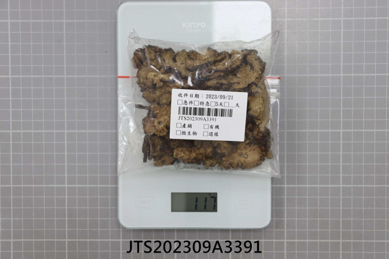JTS202309A3391