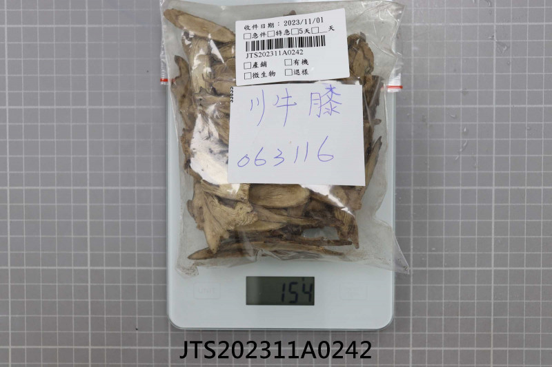 JTS202311A0242