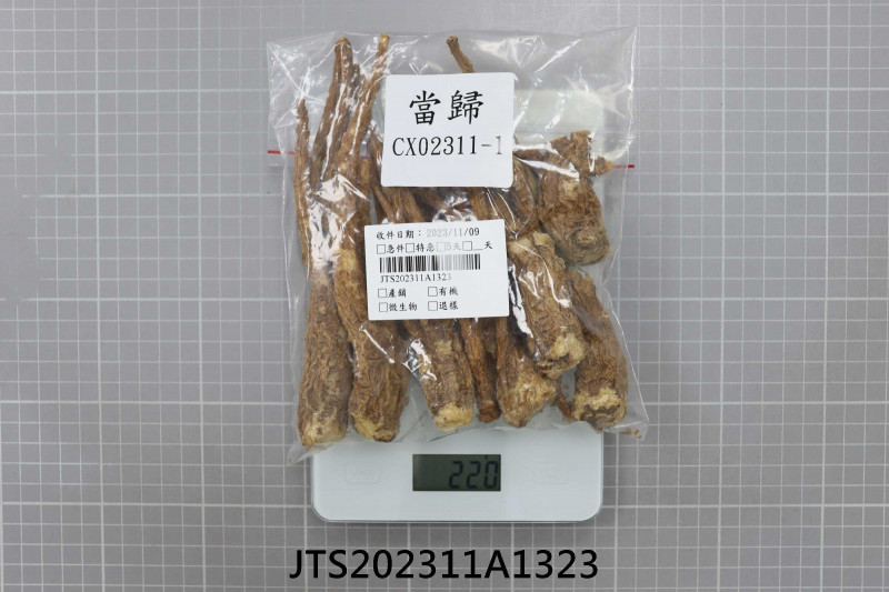 JTS202311A1323