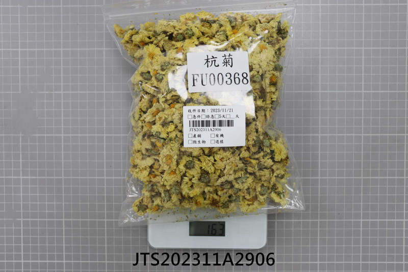 JTS202311A2906