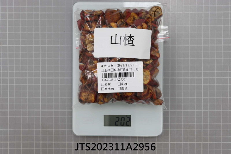 JTS202311A2956