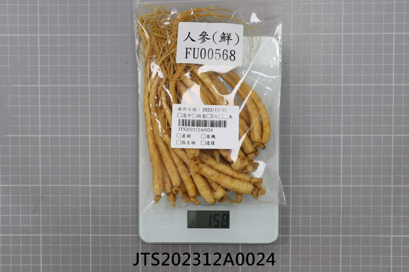 JTS202312A0024