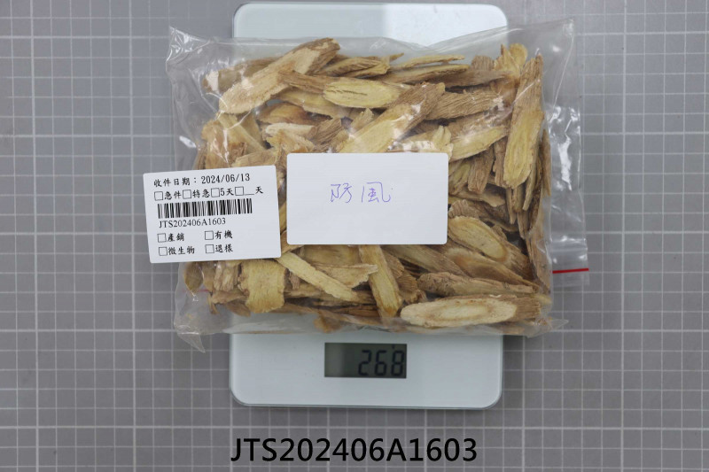 JTS202406A1603