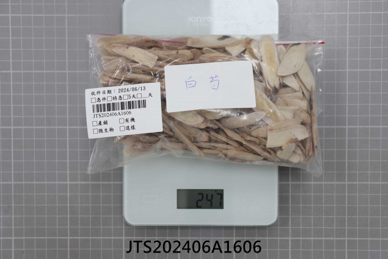 JTS202406A1606