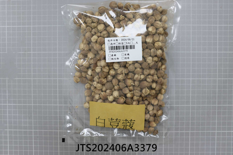 JTS202406A3379