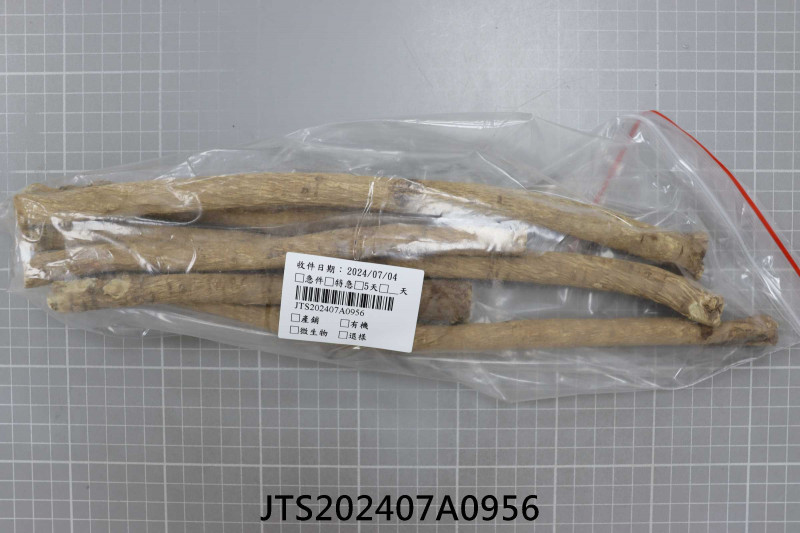 JTS202407A0956