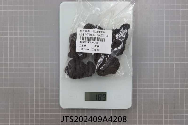 JTS202409A4208
