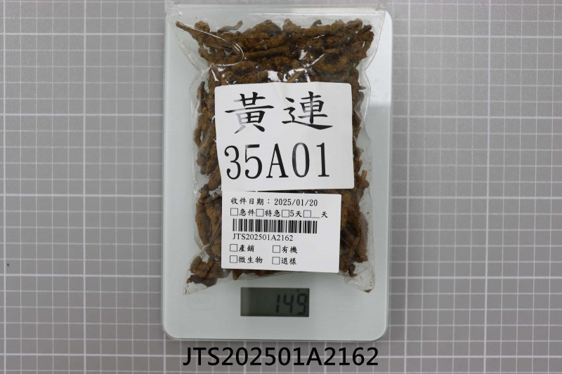 JTS202501A2162