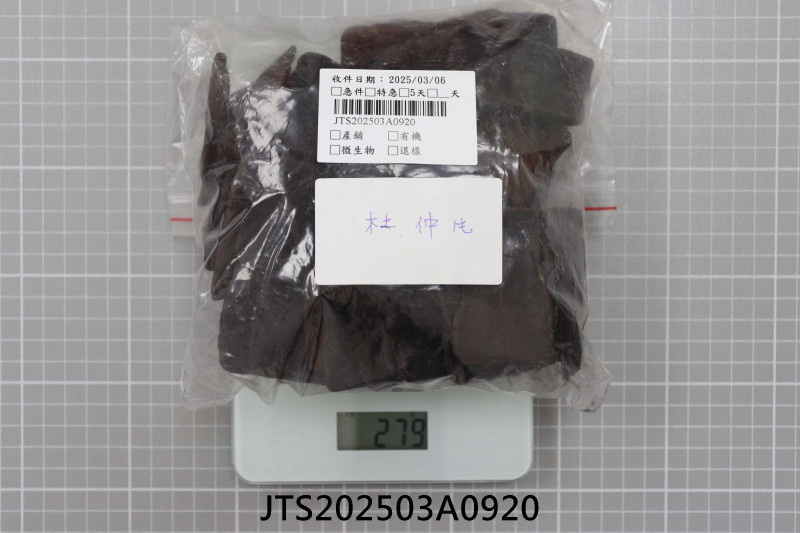 JTS202503A0920
