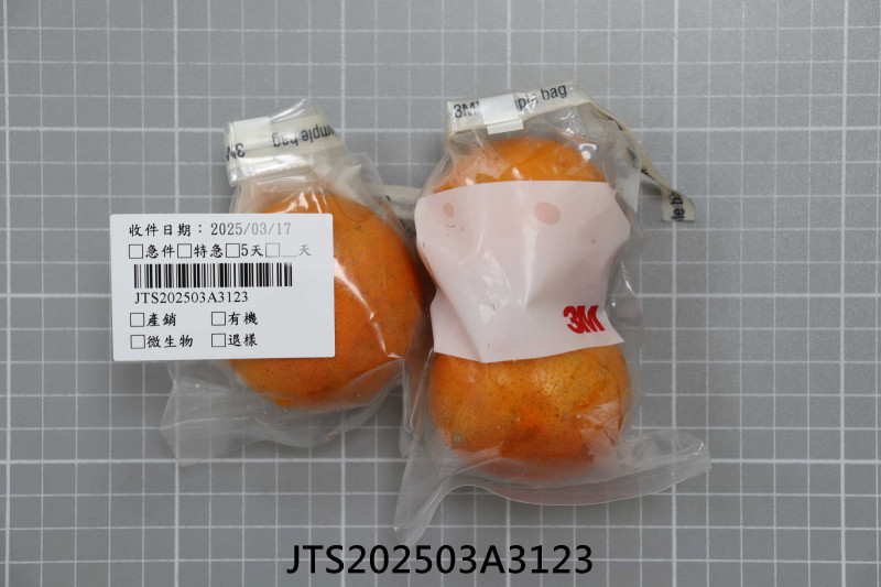JTS202503A3123