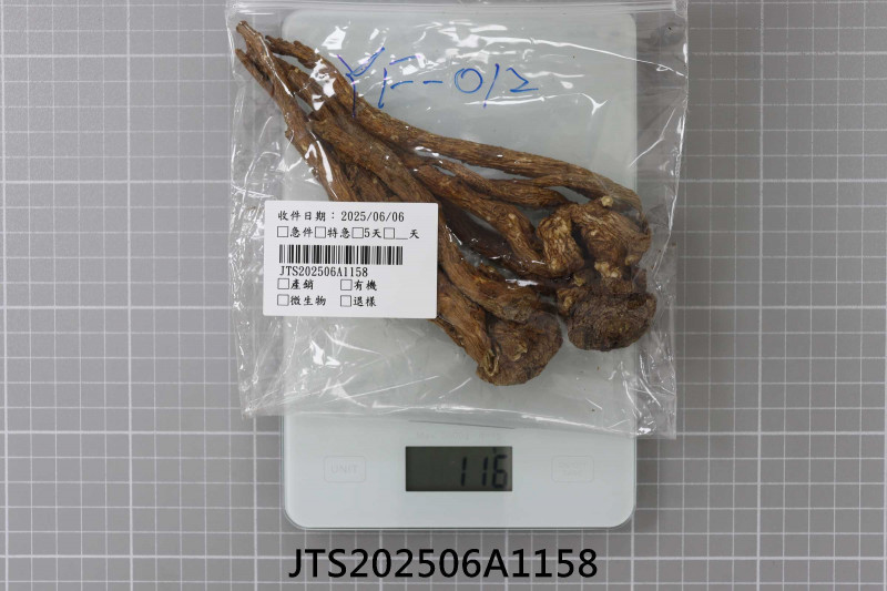 JTS202506A1158
