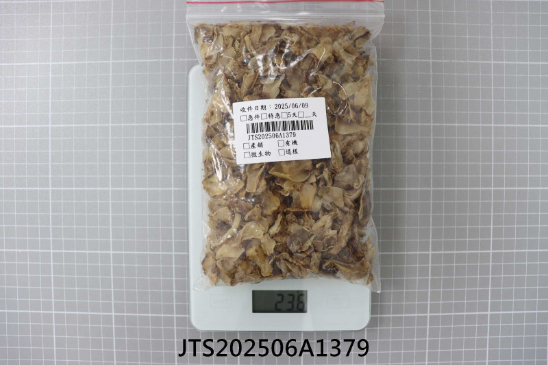 JTS202506A1379