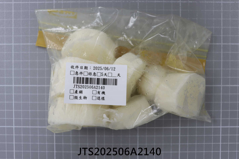 JTS202506A2140