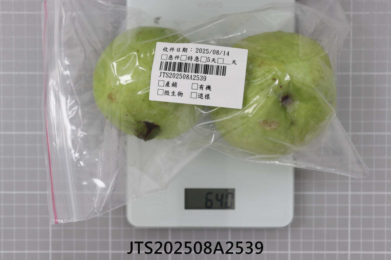 JTS202508A2539