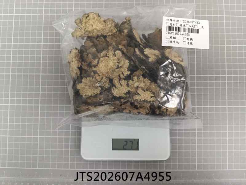 JTS202607A4955