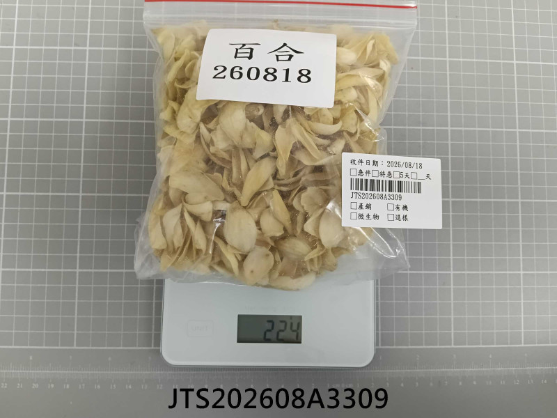 JTS202608A3309
