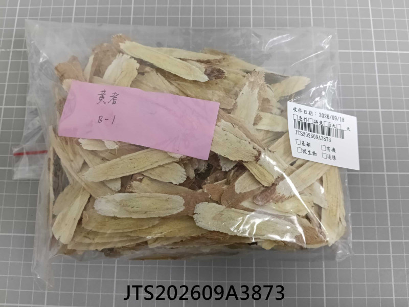 JTS202609A3873