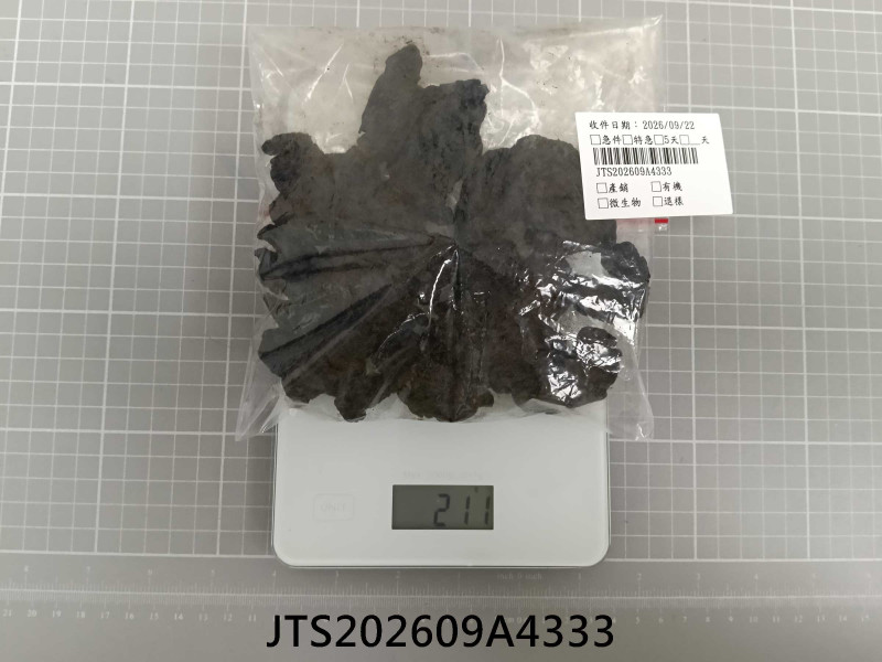 JTS202609A4333